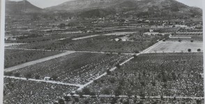 Vue sur les cultures  La Crau