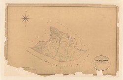 La Farlde, extrait du plan cadastral (1849)