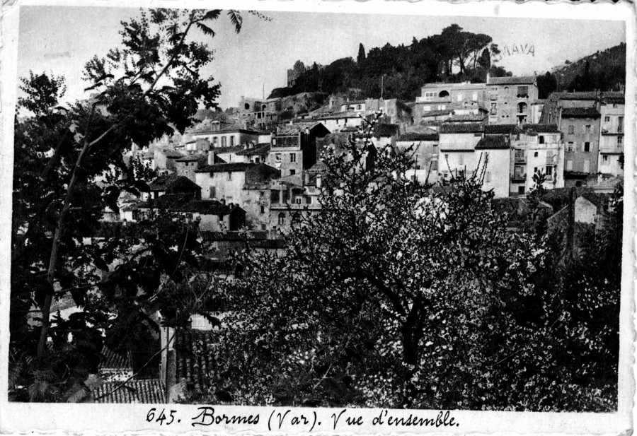 FR_AD83_2FIBORMES-LES-MIMOSAS057