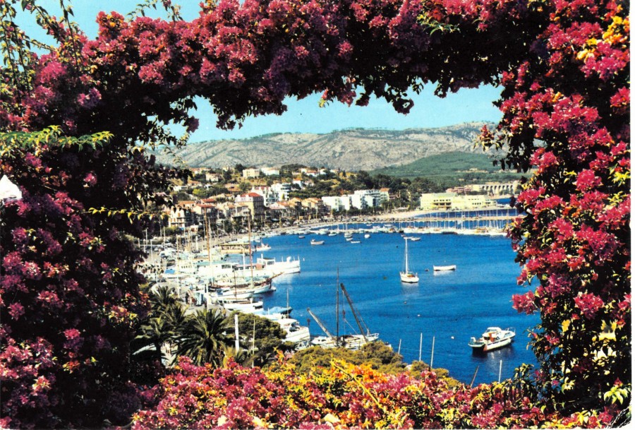 FR_AD83_2FIBANDOL107