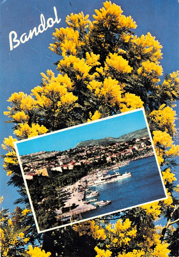 FR_AD83_2FIBANDOL110