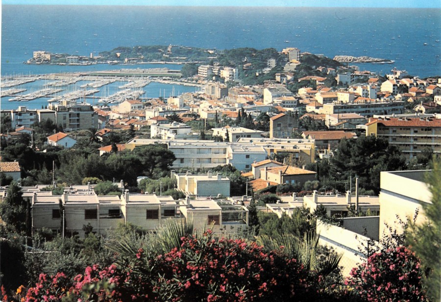 FR_AD83_2FIBANDOL113