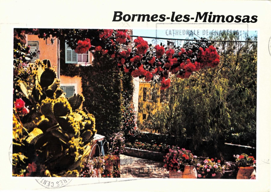 FR_AD83_2FIBORMES-LES-MIMOSAS083