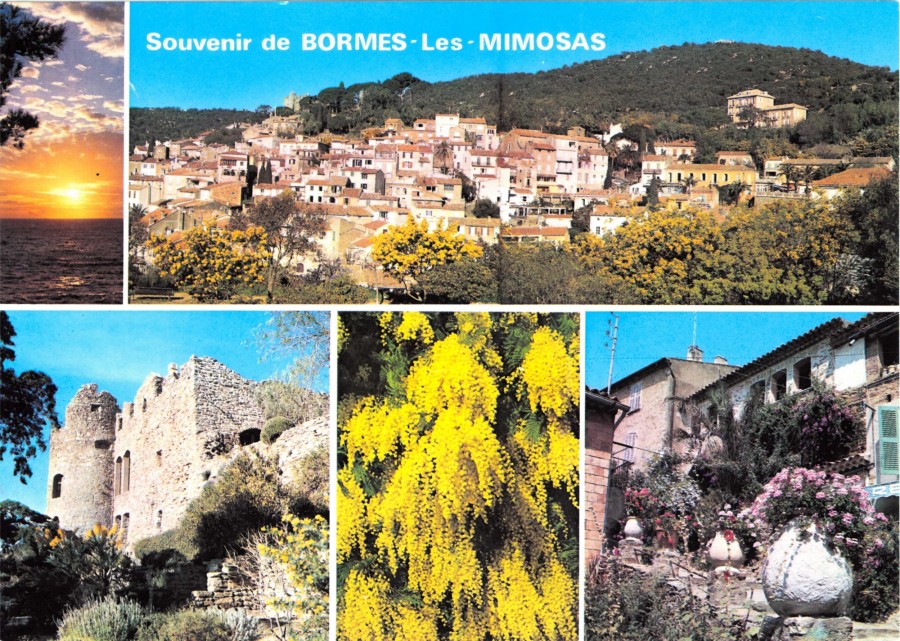 FR_AD83_2FIBORMES-LES-MIMOSAS096