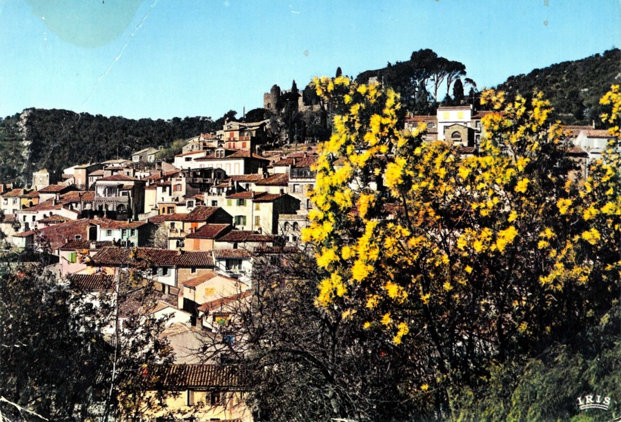 FR_AD83_2FIBORMES-LES-MIMOSAS105