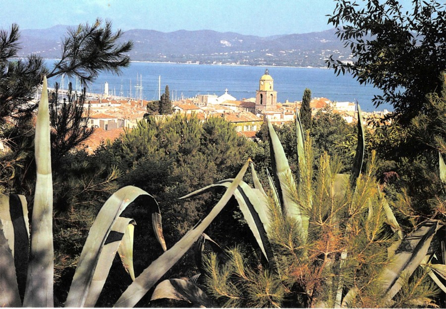 FR_AD83_2FISAINT-TROPEZ275