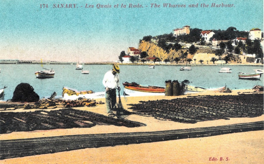 FR_AD83_2FISANARY-SUR-MER049