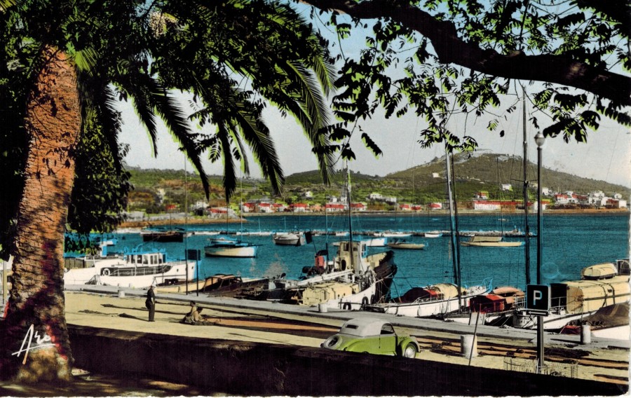 FRAD083_2FI SANARY-SUR-MER197 001