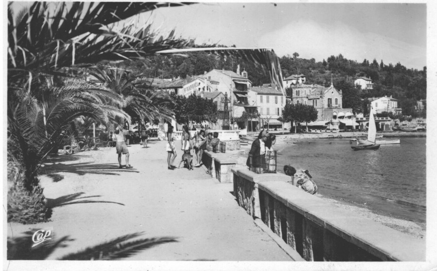 FRAD083_2FI LE LAVANDOU162 001