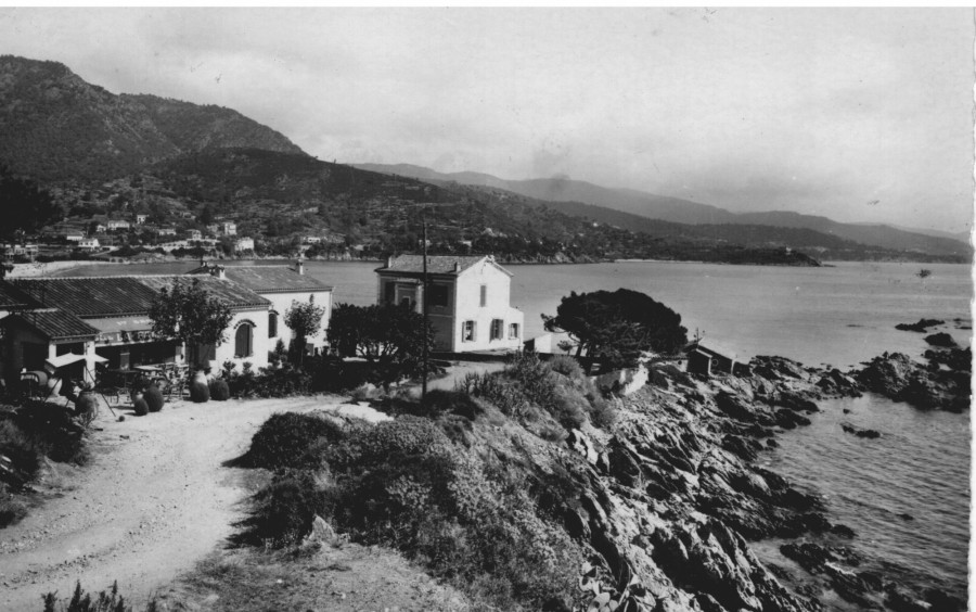 FRAD083_2FI LE LAVANDOU167 001