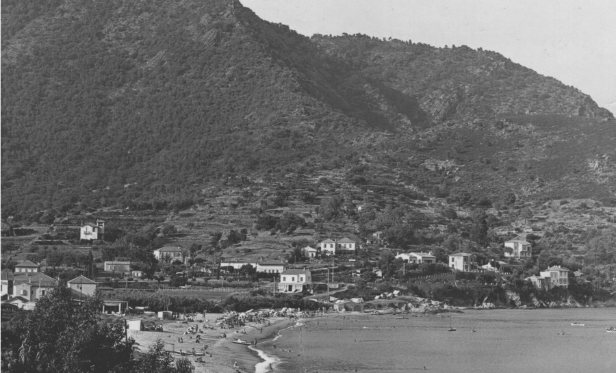 FRAD083_2FI LE LAVANDOU173 001