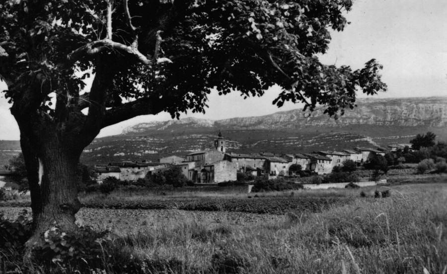 FRAD083_2FI  NANS-LES-PINS021 001