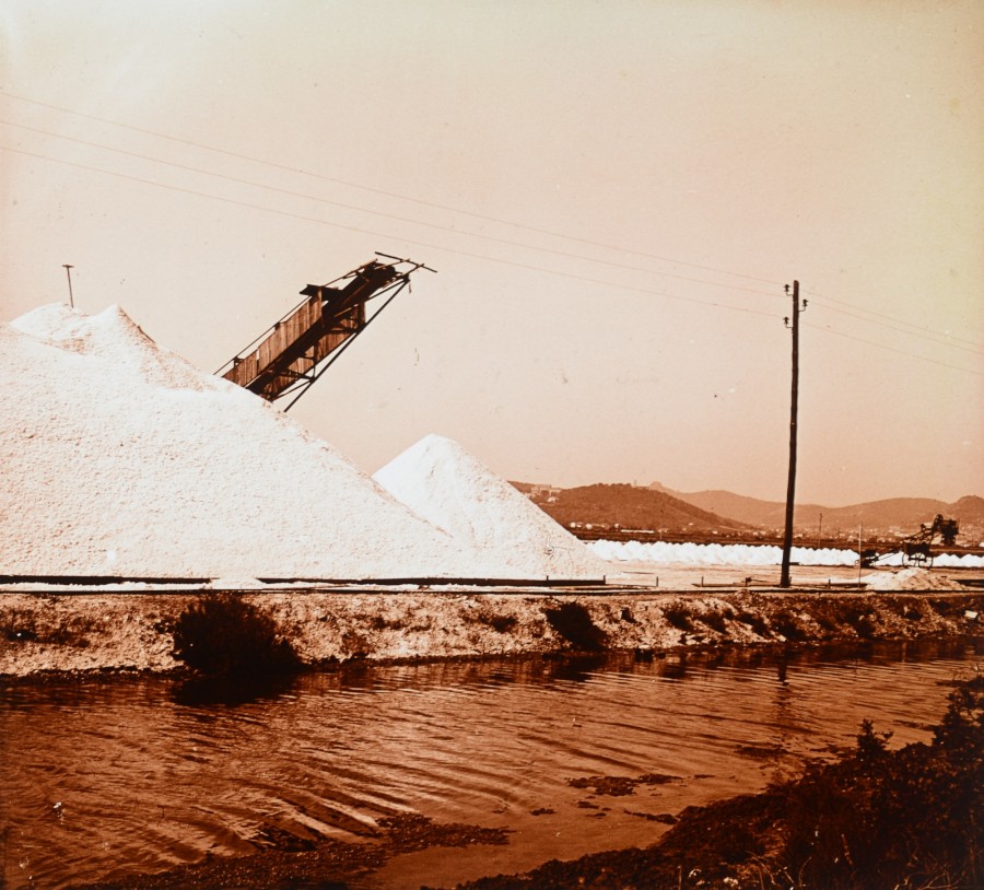 Salins à Giens