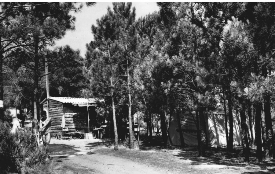 FRAD083_2FI GASSIN 036;jpg 001