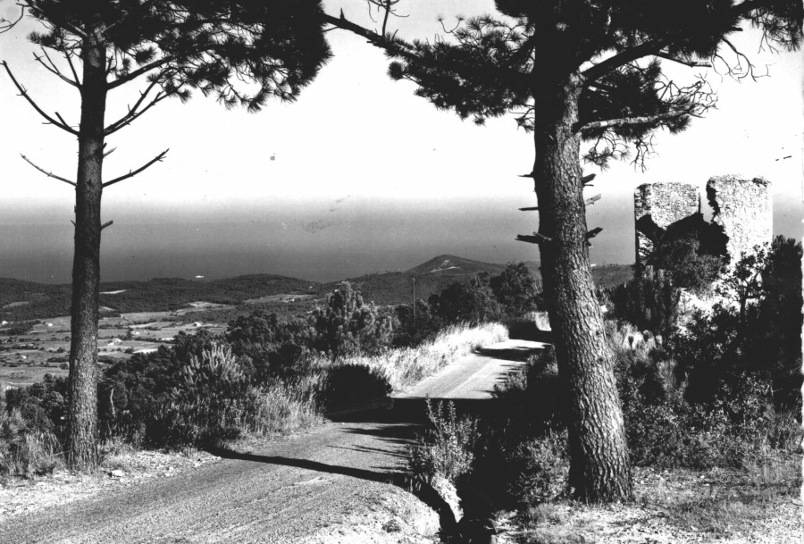 FRAD083_2FI GASSIN 042;jpg 001