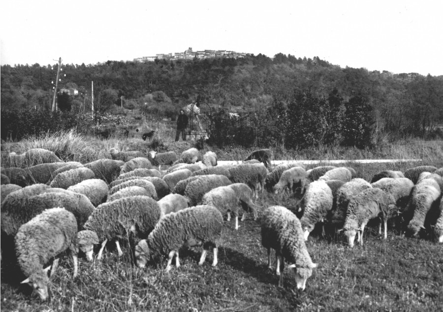 FRAD083_2FI GASSIN 046;jpg 001