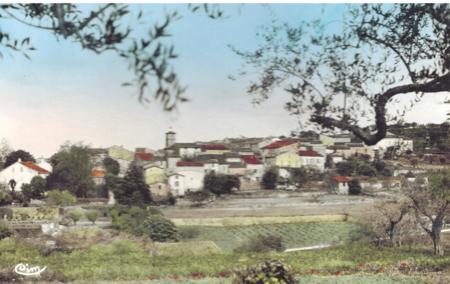 FRAD083_2FI SAINT-PAUL-en-FOR&Ecirc;T 008;jpg 001