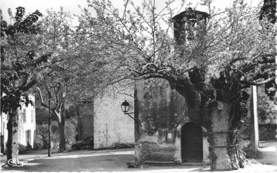 FRAD083_2FI SOLLIES-TOUCAS 010;jpg 001