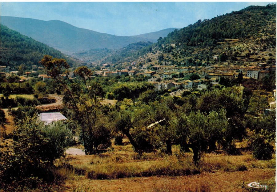 FRAD083_2FI SOLLIES-TOUCAS 013;jpg 001