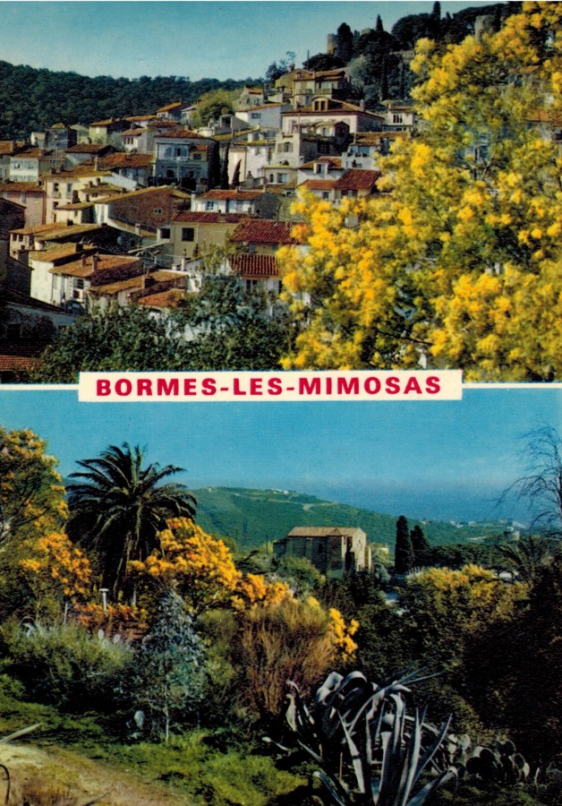 FRAD083_2 FI BORMES-LES-MIMOSAS 135 001