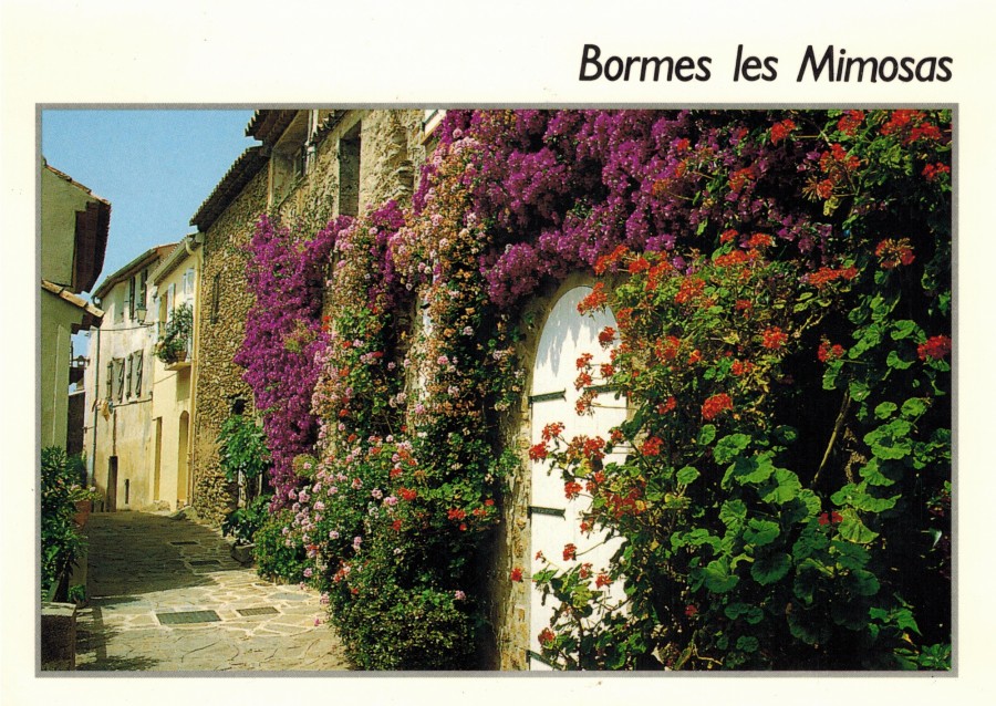 FRAD083_2 FI BORMES-LES-MIMOSAS 144 001