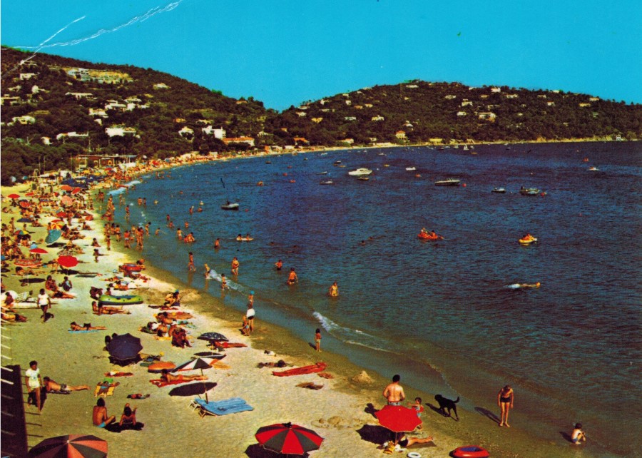 FRAD083_2 FI LE LAVANDOU 188 001