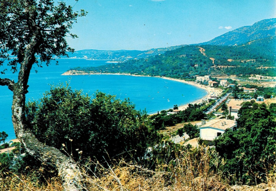 FRAD083_2 FI LE LAVANDOU 189 001