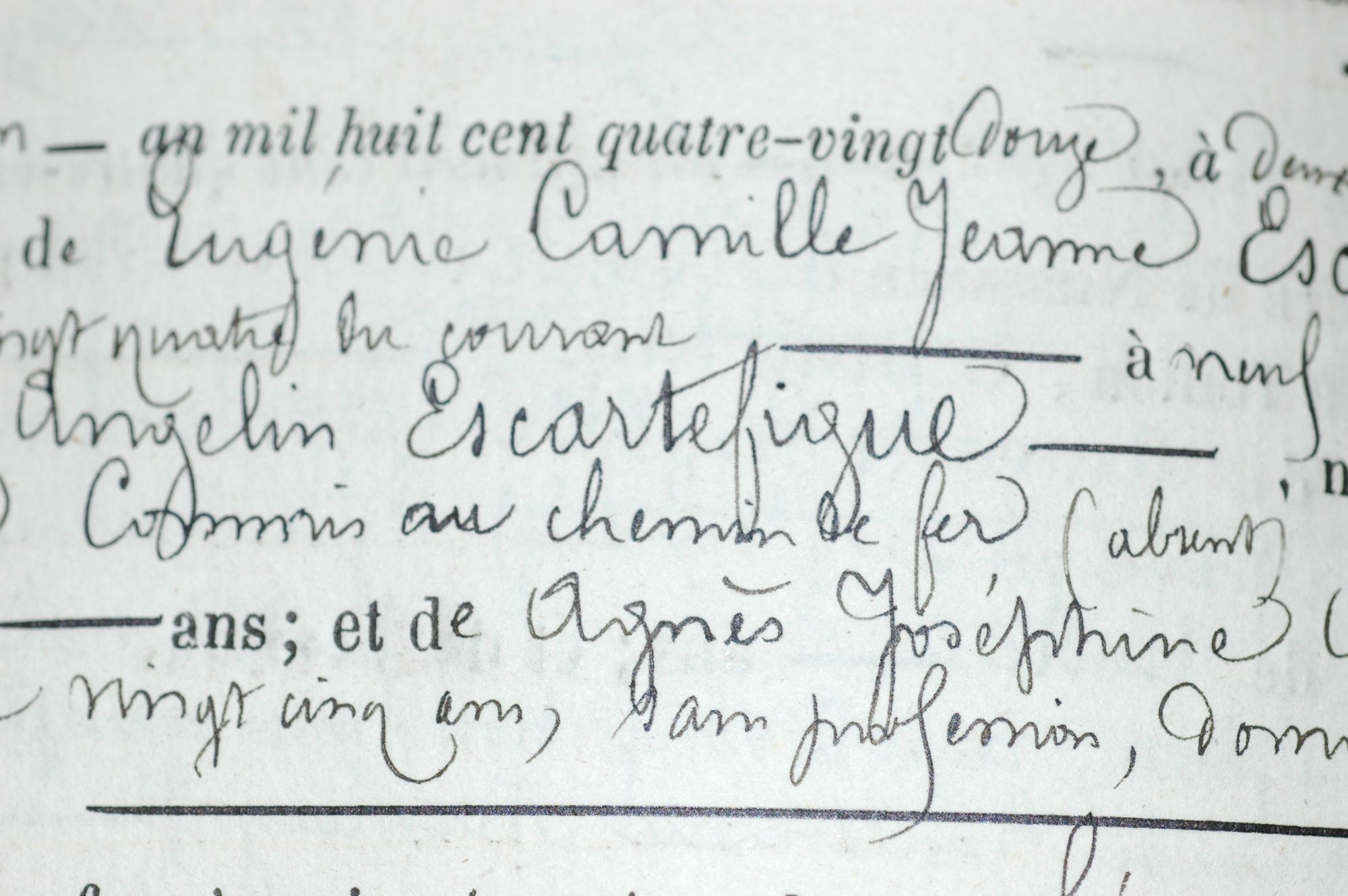 Base nominative constituée par les internautes