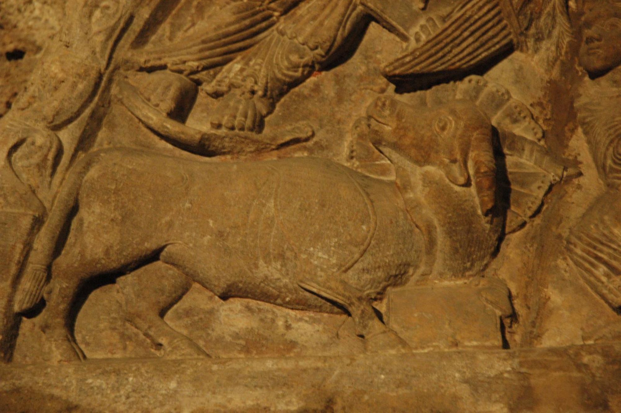 Tympan de la collégiale de Barjols - Photographie n°4