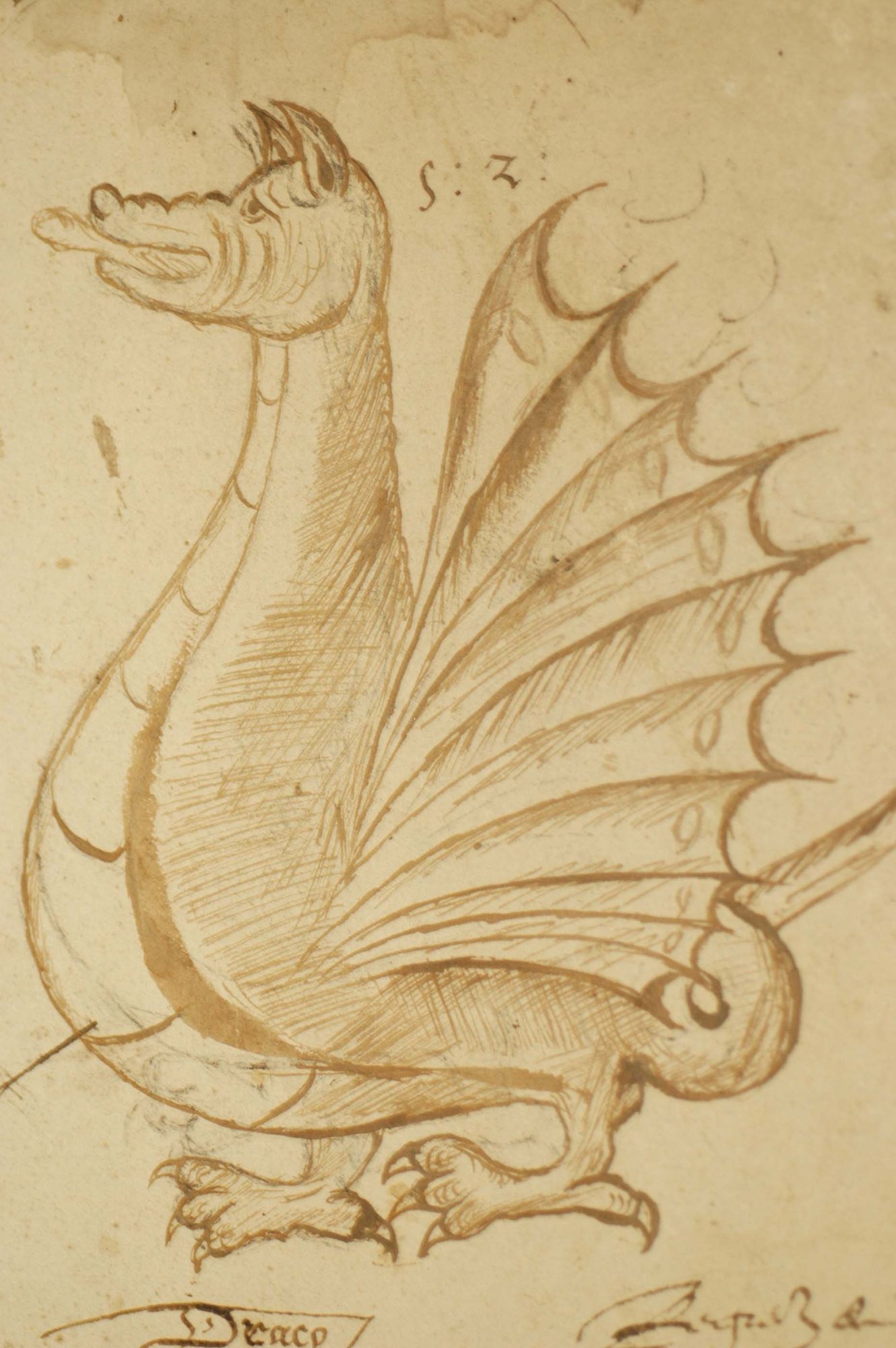 Dragon figurant sur un feuillet d'un registre des délibérations communales de Draguignan (1552- 1563)